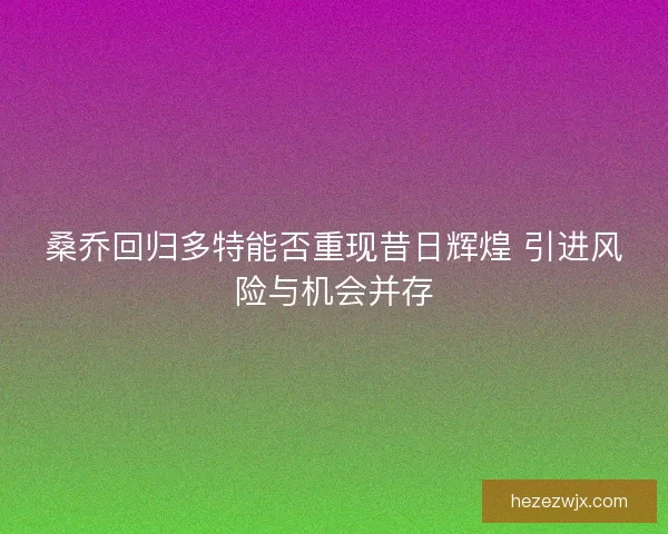 桑乔回归多特能否重现昔日辉煌 引进风险与机会并存