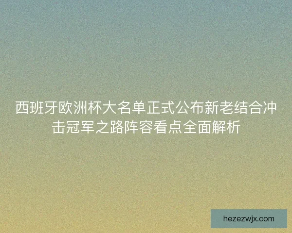 西班牙欧洲杯大名单正式公布新老结合冲击冠军之路阵容看点全面解析